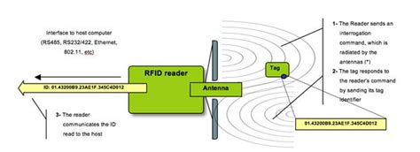 rfid interigator vs tag|rfid interrogation signal.